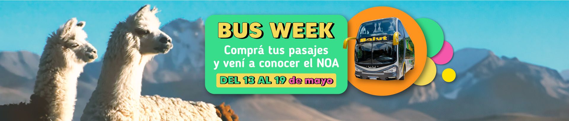 Bus week